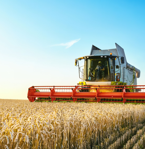 Secteur d’agriculture